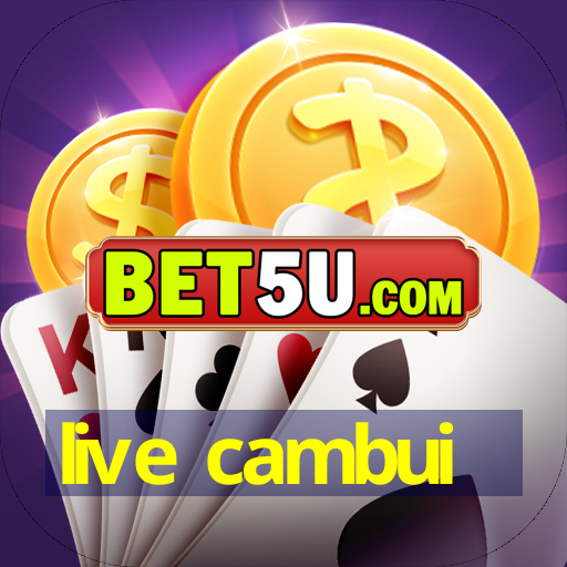 live cambui